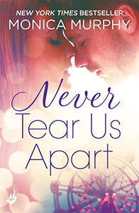 Never Tear Us Apart: Never Series 1 