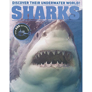 Sharks Encyclopedia 