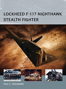 Lockheed F-117 Nighthawk Stealth Fighter 