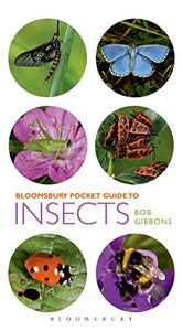 Pocket Guide to Insects 