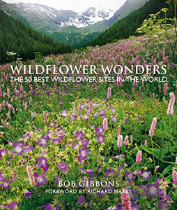 Wildflower Wonders 