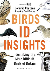 Birds: ID Insights 