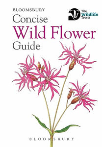 Concise Wild Flower Guide 