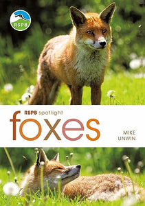 RSPB Spotlight: Foxes 