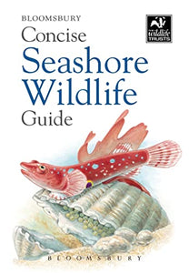 Concise Seashore Wildlife Guide 