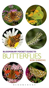 Pocket Guide to Butterflies 