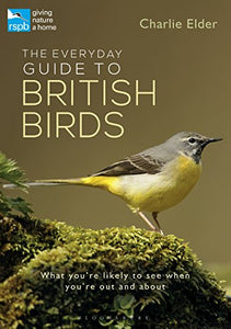 The Everyday Guide to British Birds 