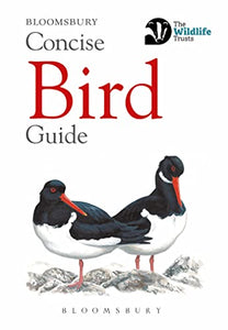 Concise Bird Guide 