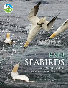 RSPB Seabirds 