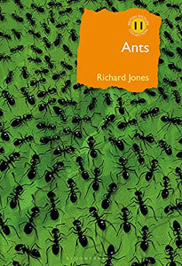 Ants 