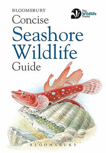 Concise Seashore Wildlife Guide 