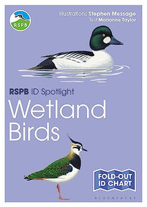 RSPB ID Spotlight - Wetland Birds 