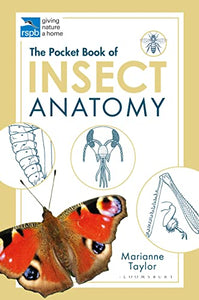 The Pocket Book of Insect Anatomy 