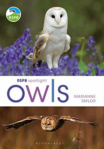 RSPB Spotlight Owls 