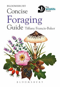 Concise Foraging Guide 