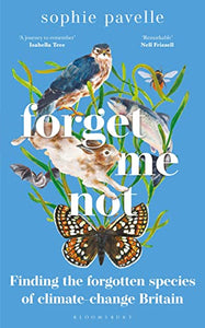 Forget Me Not 