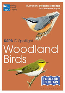 RSPB ID Spotlight - Woodland Birds 