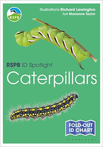 RSPB ID Spotlight - Caterpillars 