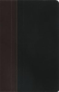 NIV Study Bible Brown/Tan Duo-Tone Personal Size 