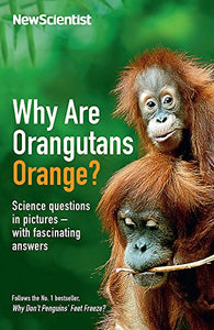 Why Are Orangutans Orange? 