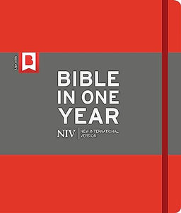 NIV Journalling Bible in One Year 