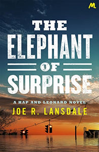 The Elephant of Surprise 