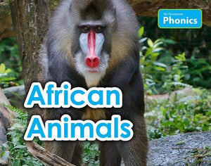 African Animals 