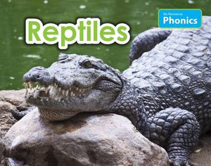 Reptiles 