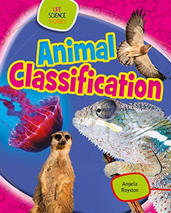 Animal Classification 