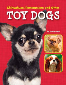 Chihuahuas, Pomeranians and Other Toy Dogs 