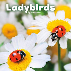 Ladybirds 