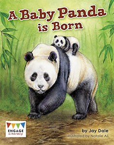 A Baby Panda is Born 