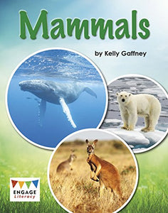 Mammals 