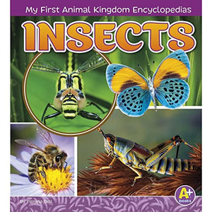 Insects 