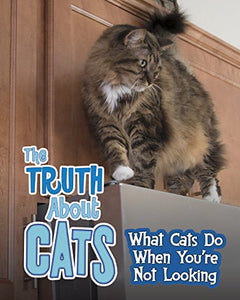 The Truth about Cats 