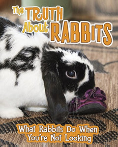 The Truth about Rabbits 