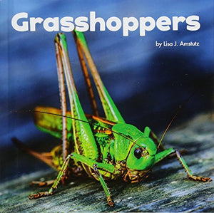 Grasshoppers 