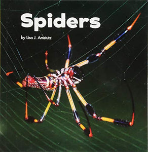 Spiders 