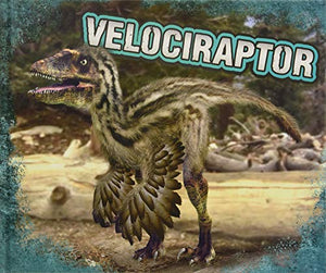 Velociraptor 