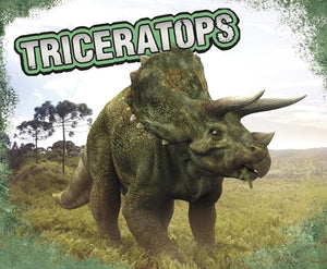 Triceratops 