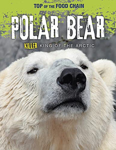 Polar Bear 