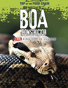 Boa Constrictor 