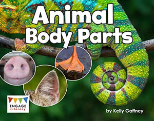 Animal Body Parts 