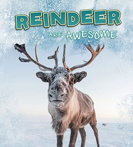 Reindeer Are Awesome 