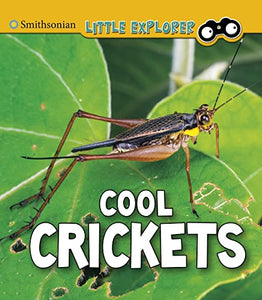 Cool Crickets 