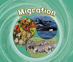 Migration 