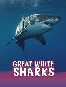 Great White Sharks 