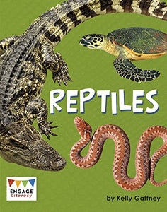 Reptiles 