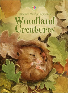 Woodland Creatures 