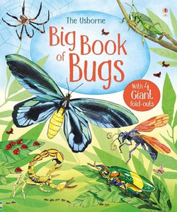 Big Book of Bugs 